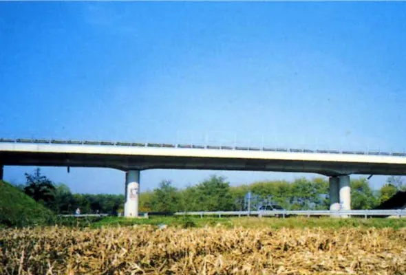 Card Image 4